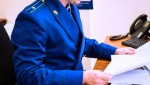 Прокуратура Михайловского района организовала проверку по факту дорожно-транспортного происшествия